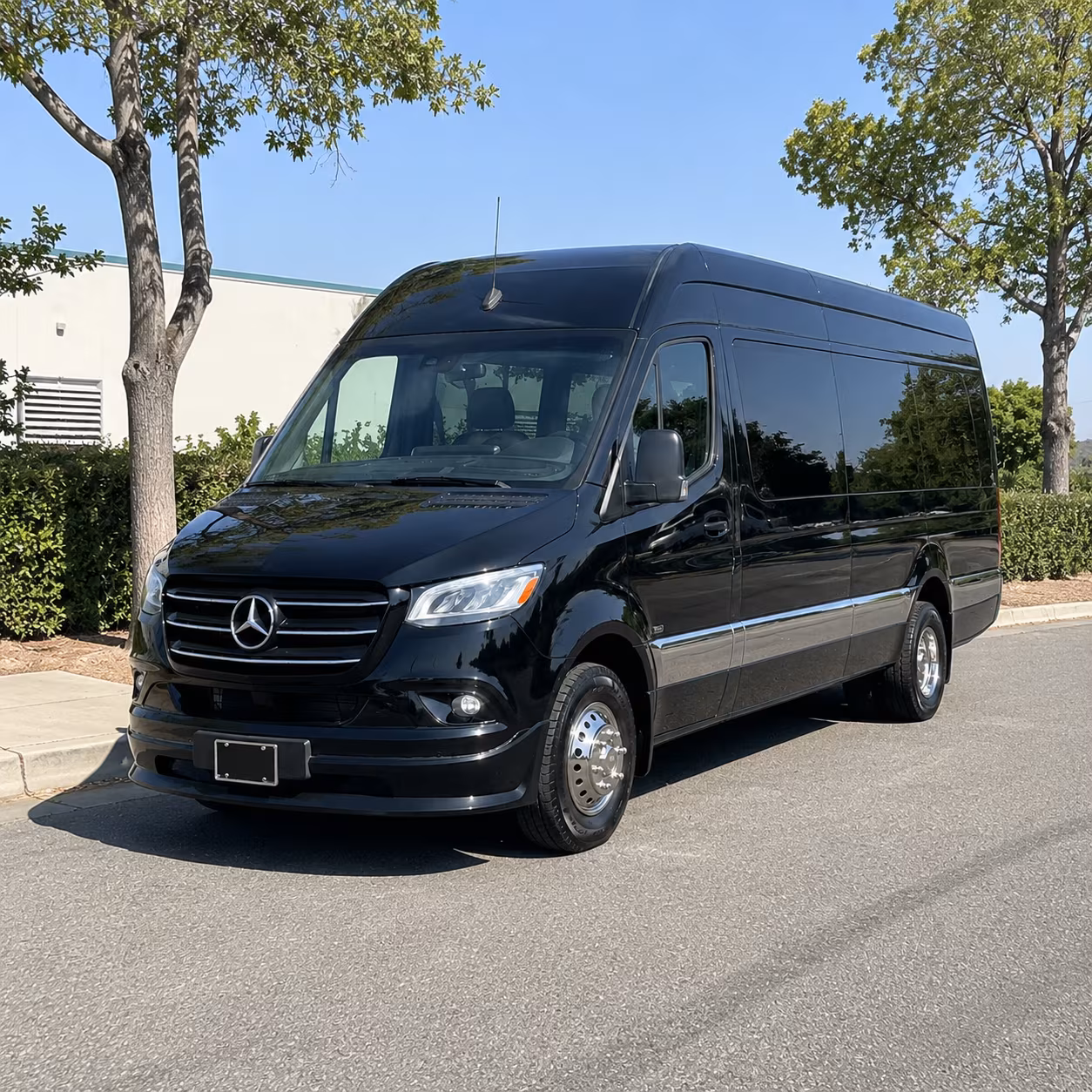 reserve transportation for your next prom 4